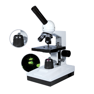 학생용 생물현미경(생물)MST-B시리즈 (MST-900B)