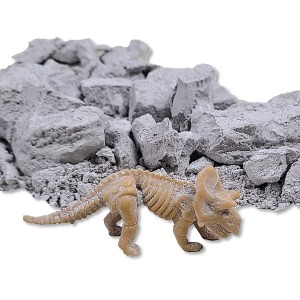 공룡화석 발굴 set